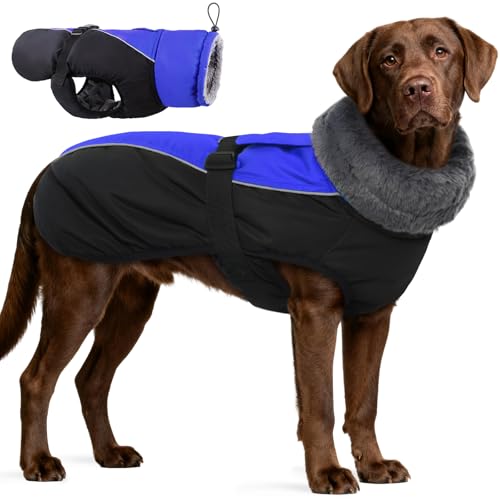 IDOMIK Dog Winter Coat, Reflective Waterproof Dog Jacket for Cold Weather, Warm Pet Coats for Small Medium Large Dogs, High Collar Doggy Fleece Snow Jacket, Winter Vest with Adjustable Buckle,XXL - color: Blue, size: XX-Large