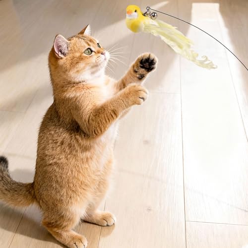 10PCS Cat Bird Toy Refills Feather Cat Wand Attachments with Bell, Interactive Cat Toys for Indoor Cats Kittens, Kitty - color: 10PCS Birds