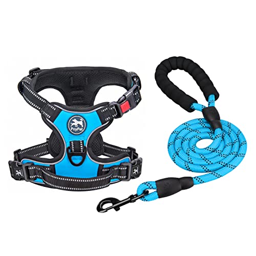 PoyPet Dog Harness and Leash Combo, Escape Proof No Pull Vest Harness, with 5 Feet Leash, Reflective Adjustable Soft Padded Pet Harness with Handle for Small to Large Dogs(Blue,L) - color: Blue, size: L
