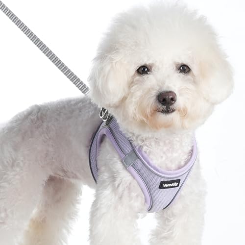 Sparkly Dog Harness Small Sized and Leash Set for Small Dogs Cats,Purple XXS Puppy Harness, Step in Soft Dog Reflective Vest, Breathable Mesh Pet Harness. (Purple, XXS) - color: Purple, size: XXS