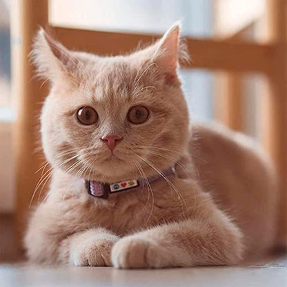 Pawtitas Reflective Red Cat Collar with Safety Buckle and Removable Bell for Kitten and Cats - color: Reflective Red