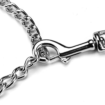 Chain Leash Metal Dog Leash Chrome Plated with Soft Padded Handle for Medium Dogs.(M, Red Handle) - color: Red, size: Medium