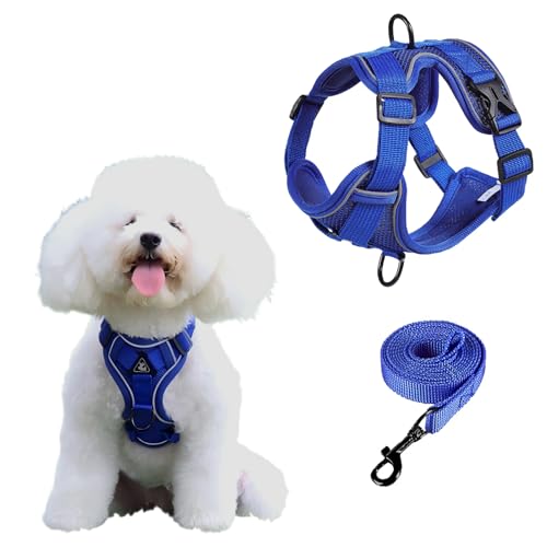 SOLMOONY Small Dog Harness,Soft Mesh Puppy Harness and Leash Set,No Escape Cat Harnesses for Training Walking,Reflective Adjustable Puppy Vest for Small Medium Dogs, Cats (Navy Blue, M) - color: Navy Blue, size: M
