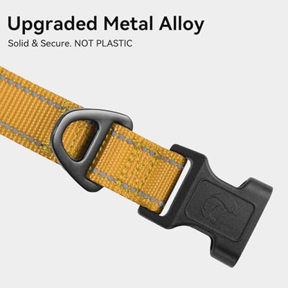 Joytale Reflective Dog Collar, Soft Neoprene Padded, Metal D-Ring, Nylon Pet Collar Adjustable for Puppy and Small Dogs, Khaki, XS - color: Khaki, size: X-Small (Pack of 1)