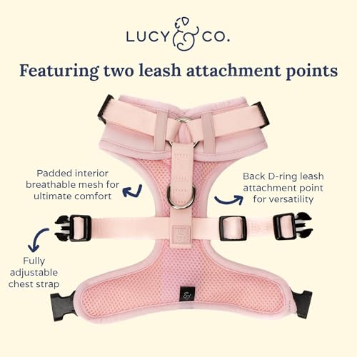 Lucy & Co. The Rosewater No-Pull Dog Harness - Size Small - Vest to Stop Pulling & Walk Easy - Comfortable Leash Training Product w/Adjustable Chest & Neck Straps - color: The Rosewater No-Pull Harness, size: Small