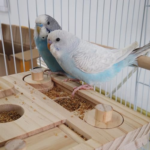 FlidRunest Wooden Bird Foraging Puzzle Toys for Parrots, Parakeet, Cockatiel, Sun Conures - Birds Interactive Mental Enrichment Toy, B ird Seed Slow Feeder Toy for Cage - size: Medium