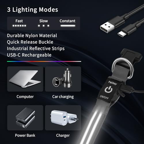 Dog Light up Collar for Night Walking - High Visibility LED Dog Collar - Rechargeable - Waterproof - Reflective - Adjustable Lighted Glow Collars(White,XLarge) - color: White, size: XLarge (22" - 27")