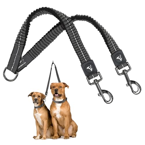 Kruz Double Dog Leash for Two Dogs (Width - 1”, Length 20”-42”) Dual Leash Coupler with Tangle-Free Swivel, Shock-Absorbing Reflective Bungee for Comfortable Walking & Training (Grey, Large) - color: Gray, size: Large: 1" x 20"