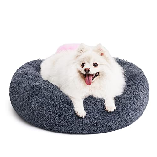 MIXJOY Orthopedic Dog Bed Comfortable Donut Cuddler Round Pet Beds Ultra Soft Washable Dog and Cat Cushion (20''/23''/30'') (23'', Grey-Blue) - color: Grey-Blue, size: S(23’’x 23’’)