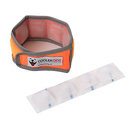 CoolerDog Hi-Vis Cooling Dog Collar for Small Dogs – Reflective Re-Freezable Ice Collar for Hot Weather & Heat Relief (Orange, Small) - size: Small
