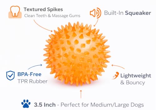 Squeaky Spiky Dog Ball for Teeth Cleaning & Gum Massage 2.5 Inch Small Medium Dogs Orange | Spiny TPR Rubber Chew Toy for Fetch Play Interactive Bouncy Dental Ball Durable BPA Free Nontoxic Floats - size: Orange, 2.5" 1 - Pack