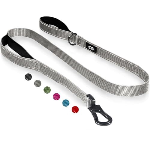 TwoEar 4FT 1IN Strong Gray Dog Leash with 2 Padded Handles, Traffic Handle Extra Control, Comfortable Soft Dual Handle, Auto Lock Hook, Reflective Walking Lead for Small Medium and Large Dogs - color: Grey, size: 1 in x 4 ft