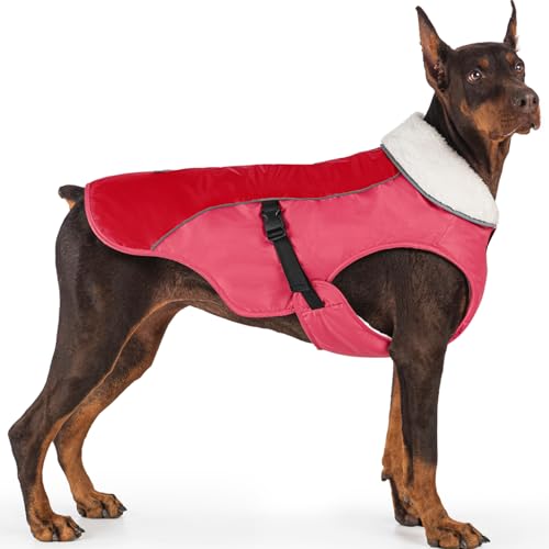 EMUST Dog Coat Winter, Warm Dog Snow Jacket for, Adjustable Small/Medium/Large Dogs Coat/s for Winter, New Orange, L - color: New Orange, size: Large