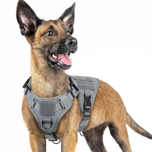 rabbitgoo Tactical Dog Harness for Small, Heavy Duty Pet Harness with Handle, No-Pull Service Vest Small Breed, Adjustable Military Dog Vest for Training Hunting Walking, Grey, S - color: Grey, size: Small