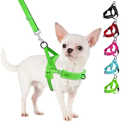 SlowTon No Pull Small Dog Harness and Leash Set, Puppy Soft Vest Harness Neck & Chest Adjustable, Reflective Lightweight Harness & Anti-Twist Pet Lead Combo for Small Medium Dogs (G-Front Clip,XXS) - color: B-Light Green - With Front Clip, size: XX-Small
