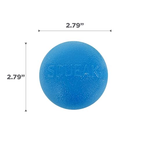 Outward Hound by Planet Dog Squeak Ball Bouncy Fetch Dog Toy, Blue - color: Blue Squeak Toy