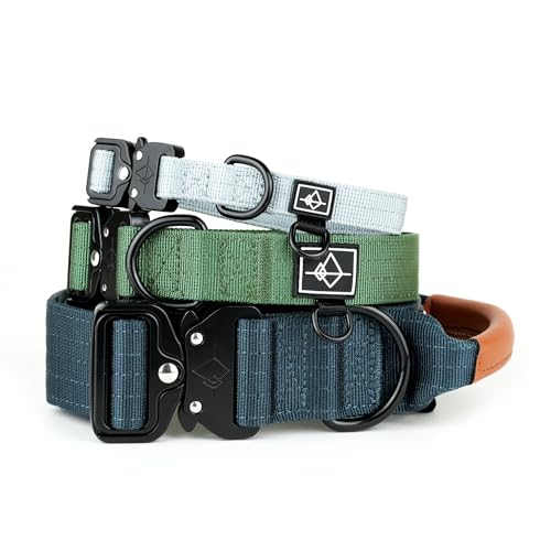 Made to ROAM Premium Dog Collar - Adjustable Heavy Duty Nylon Collar with Quick-Release Metal Buckle (Michigan Autumn, Classic Size 2) - color: Michigan Autumn, size: Classic 2