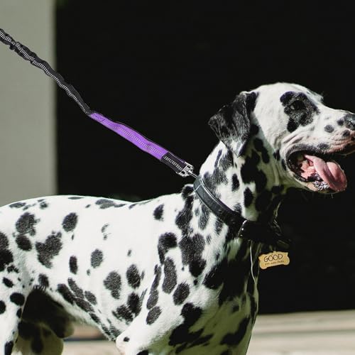 DOITOOL Hands Free Dog Running Leash Waist Belt Nylon Rope Leash for Medium Dogs Jogging Training with Safety Reflective Purple