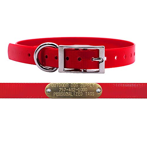 3/4" Waterproof D-Ring Dog Collar Adjustable Fit for Small & Medium Breeds | Custom 3/4" Brass Nameplate – Durable, Odor-Resistant, USA-Made (15" Red) - color: Red, size: 15" Long