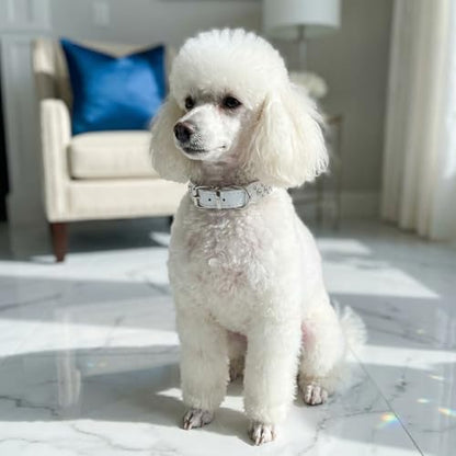 Rhinestone Dog Collar, Bling Rhinestone PU Leather Crystal Diamond Pet Dog Cat Puppy Collar Black S M L XL (XS, Hot Pink) - color: Hot Pink, size: XS
