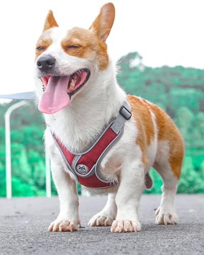 Medium Dog Harness and Leash Set,No Pull Adjustable Step in Soft Mesh Vest Harness,Easy Walk Reflective Pet Harness with Padded Handle for Walking Training Small Medium Large Dogs and Cats (Red, M) - color: Red, size: M
