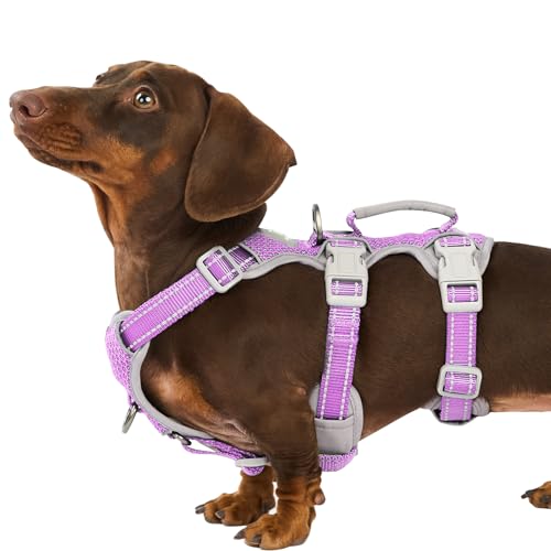 Huntboo Escape Proof Dog Harness, Secure Dog Harness No Escape,Fully Reflective Harness with Handle,Breathable,Durable,Adjustable Vest for Small Dogs Walking,Training & Running Gear(Lavender Purple,S) - color: Lavender Purple, size: Small(Pack of 1)