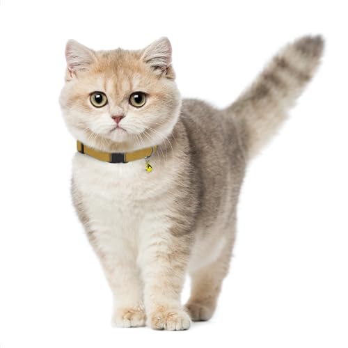 Breakaway Cat Collar Leather with Removable Bell - 13 Colors Available - Soft Adjustable Girl Boy Safety Lightweight Pet Kitten Collars Pink Brown Blue Green Red Orange Black (Mustard) - color: Mustard