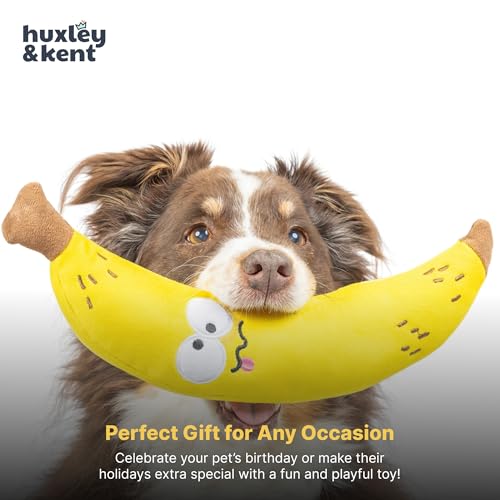 Huxley & Kent Funny Dog Toy w/Squeaker – Power Plush Squeaky Dog Toys for Small, Medium & Large Dogs – Soft Stuffed Animal for Indoor Play & Fetch - Fetchies® Bruiser Banana, Large - size: Large, style: Brusier Banana