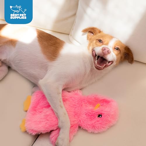 Best Pet Supplies Interactive Squeaky Dog Chew Toy, Ideal Dog Toys for Chewers, Small, Medium & Large Dogs, and Fetch Lovers - Crinkle Chicken (Pink), Large - color: Crinkle Chicken (Pink), size: Large