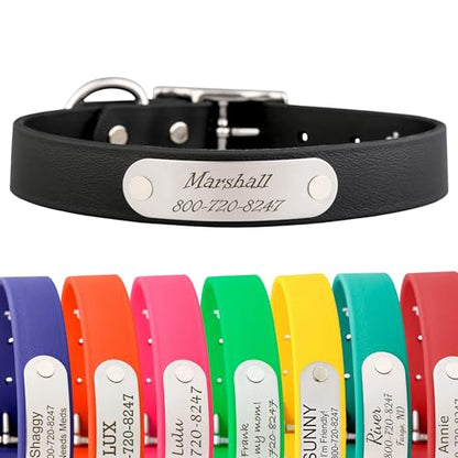 dogIDs Personalized Dog Collar – Custom Waterproof Soft-Grip Biothane with Laser-Engraved Nameplate, Durable & Odor-Resistant, USA Made | Black, 1 in x 16 in (Fits Necks Size 14-18 in) - color: Black, size: 1 in x 16 in (Fits Necks Size 14-18 in)