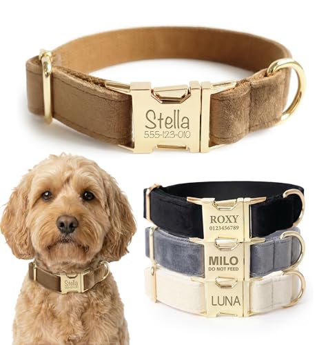 Dog Collar Personalized with Name Engraved - Light Gold Quick Release Buckle, Soft Velvet Lined, Comfortable Gift for Small, Medium, Large Dogs - color: Camel, size: XS