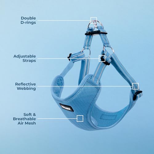 Best Pet Supplies Voyager Adjustable Step-In Flex Breathable Mesh Dog Harness for Small Medium Large Dogs (Baby Blue), L - color: Harness (Baby Blue), size: L