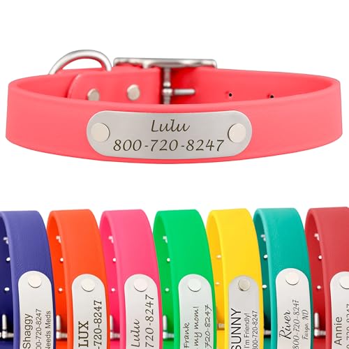 dogIDs Personalized Dog Collar – Custom Waterproof Soft-Grip Biothane with Laser-Engraved Nameplate, Durable & Odor-Resistant, USA Made | Coral, 1 in x 16 in (Fits Necks Size 14-18 in) - color: Coral, size: 1 in x 16 in (Fits Necks Size 14-18 in)