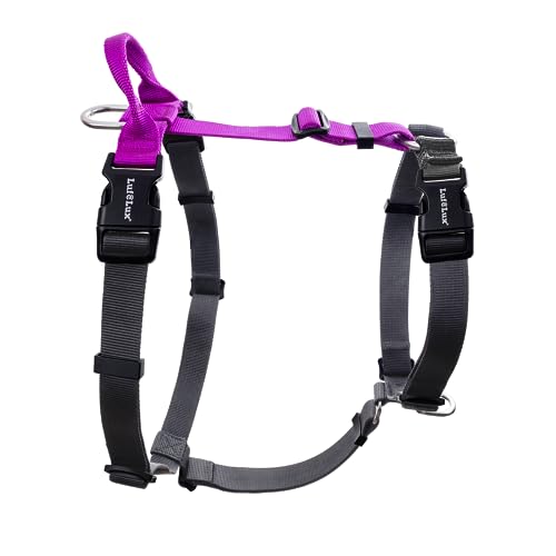 Non-Restrictive Dog Harness, Easy Walk Freedom No Pull Harness, Keep Balance, Neck-Buckle, Six Points Adjustment, 2 Leash Clips for Back and Front Clip (Purple/Black, X-Small) - color: Purple/Black, size: XS