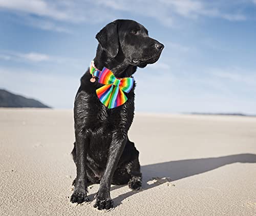 DOGWONG Summer Dog Collar with Bow tie - color: C: lgbt rainbow, size: L