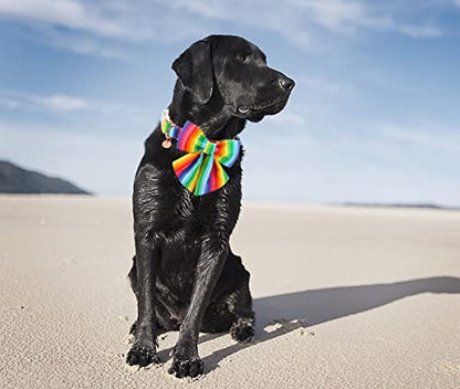 DOGWONG Summer Dog Collar with Bow tie - color: C: lgbt rainbow, size: S