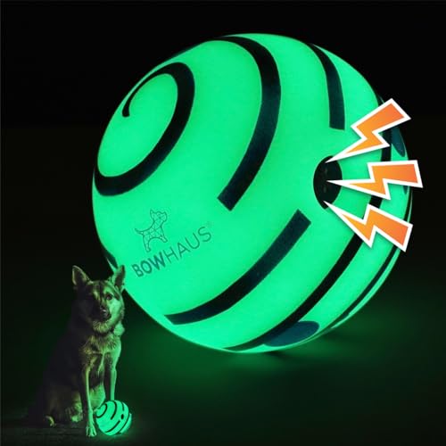 BOWHAUS Giggle Glow in The Dark Ball for Dogs, 5.5 Inch Interactive Dog Exercise Toys, Indestructible Fun Squeaky Chew Toy, Non-Toxic Durable PVC Chew Ball for Indoor Outdoor Play - style: Glowing Ball