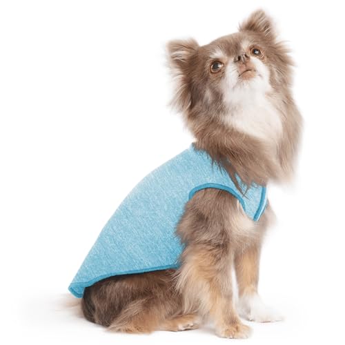 Goldpaw Dog Sun Shirt with UV Protection - Lightweight, Cooling Sun Protection Clothing for Small Dogs - Reduce Heat Absorption - Made in The USA - Machine Washable - Ocean Blue - Size 6 - color: Ocean Blue, size: 6