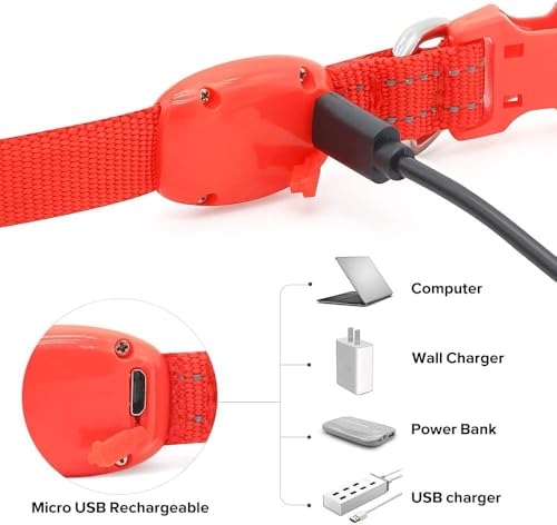 BSEEN Light Up Dog Collar, Reflective LED Dog Collar Rechargeable Glowing Puppy Collars for Small Dogs & Cats, Safety Dog Lights for Night Walking (Red) - color: Red
