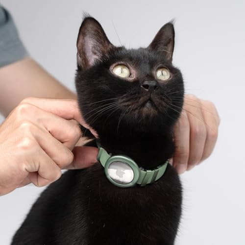 Safety Cat Collar - U.S. IDA Gold Award Design, Stretchy Elastic Quick Release Non Breakaway Cat Collar Light Weight for Kitten All Small Medium Large Cats (Olive, S (5.9-11.8 inch)) - color: Olive, size: S (5.9-11.8 inch)
