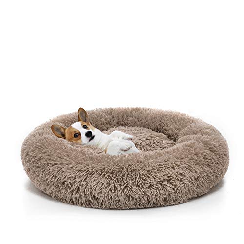 MIXJOY Orthopedic Dog Bed Comfortable Donut Cuddler Round Pet Beds Ultra Soft Washable Dog and Cat Cushion (20''/23''/30'') (23'', Brown) - color: Brown, size: S(23’’x 23’’)