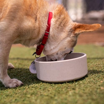 Loving Pets - Dolce Bamboo - Eco-Friendly Pet Bowls & Dishes for Dog, Cats, Puppy Food and Water Dish -Sustainable and Dishwasher Safe, Made with Real Bamboo (Medium, Oat-Beige) - color: Oat Beige, size: Medium Dish