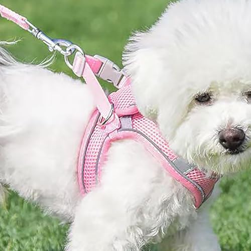 Dog Harness and Leash Set, No Pull Soft Mesh Pet Harness, Reflective Adjustable Puppy Vest for Dogs/Cats - color: Pink, size: Small