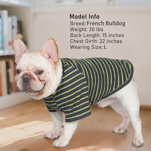 KYEESE 3Pack Small Dog Sweater, Soft Puppy Sweatshirt Stretchy Pullover Dog Sweater for Small Dogs Girl Boy, Fleece Lightweight Cat Shirt Pet Clothes with Sleeves, S - color: 09# Green, size: Small (4-8lbs)