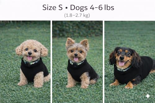 JACKO & CO - Fleece Vest Dog Sweater with Leash Ring - Soft, Warm & Lightweight Pullover Coat for Small & Medium Dogs, Puppies & Cats - Cozy Fall/Winter/Spring Pet Jacket (Black, Small 4-6lbs) - color: Black, size: S (4-6lbs)