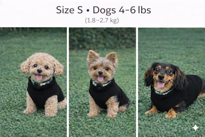 JACKO & CO - Fleece Vest Dog Sweater with Leash Ring - Soft, Warm & Lightweight Pullover Coat for Small & Medium Dogs, Puppies & Cats - Cozy Fall/Winter/Spring Pet Jacket (Black, Small 4-6lbs) - color: Black, size: S (4-6lbs)