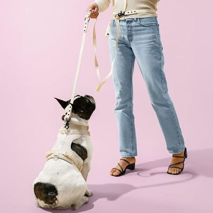 HNS1002L Arlo Medium Adjustable Soft Padded No Pull Pet Harness with 3 Buckles and 3 Leash Clips, Bailey - color: Almond, size: Medium (Chest: 18 - 28")