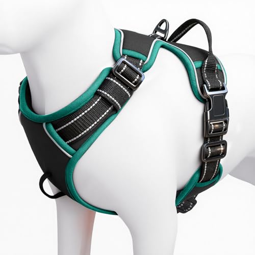 No Pull Dog Harness, No Chock Reflective Adjustable Soft Padded Pet Vest with Easy Control Handle, Easy Wearing with Stylish, Reinforced Knot, 2 Buckles - color: Black/Turquoise, size: X-Small