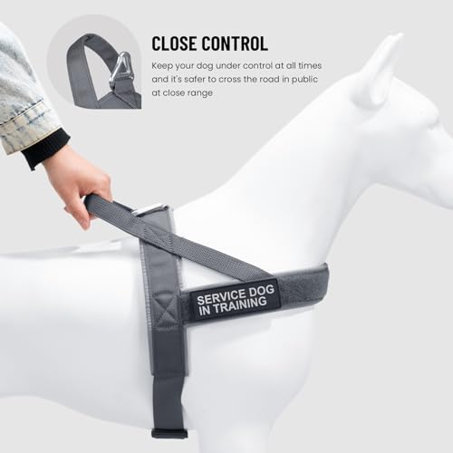 EXCELLENT ELITE SPANKER No Pull Dog Harness Padded Military Patrol Vest Adjustable Nylon Small Service Walking Dog Harness with Handle for Training Running(Grey-XS) - color: Grey, size: XS-(Chest 13.5-19.5")