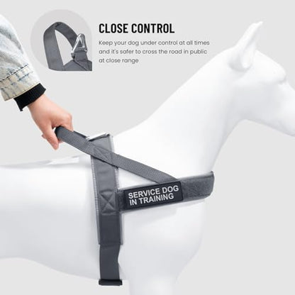 EXCELLENT ELITE SPANKER No Pull Dog Harness Padded Military Patrol Vest Adjustable Nylon Small Service Walking Dog Harness with Handle for Training Running(Grey-M) - color: Grey, size: M-(Chest 25.5-31.5")